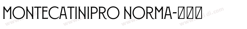 MontecatiniPro Norma字体转换